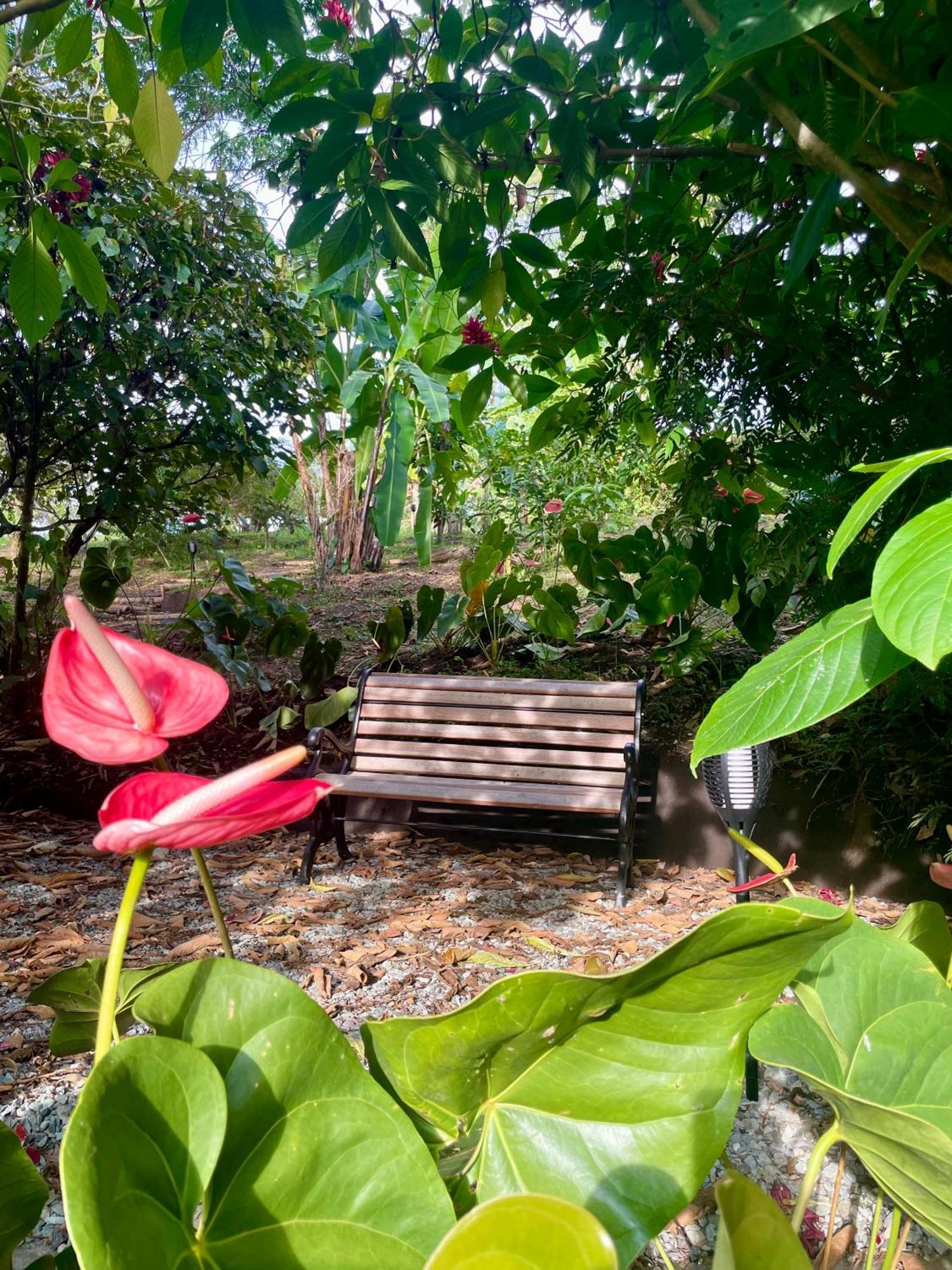 Ecohotel Alma Calarca Ngoại thất bức ảnh