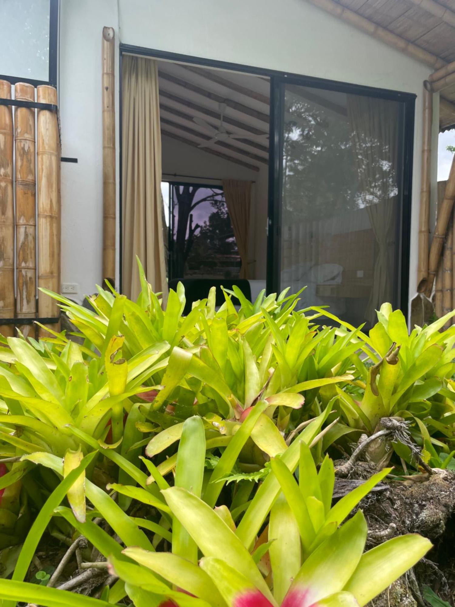 Ecohotel Alma Calarca Ngoại thất bức ảnh